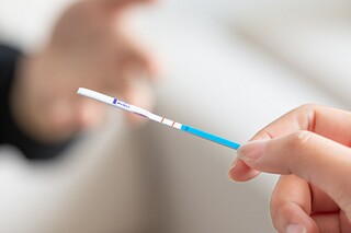 总结文蛤的英文词语及句子_文蛤英文
