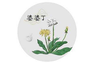 儿女给父亲悼词(儿女给父亲的祝寿词)
