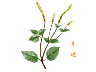 行政前台工作安排表_行政前台个人工作计划