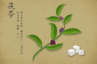 新教师培训会主持词开场白_新教师培训开班仪式主持词