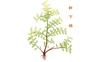 六年级写成长中难忘的一次经历作文 那次运动会(六年级作文一次难忘的运动会)