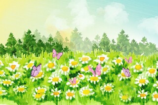 女人心声句子_女人的心声经典语句