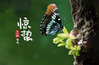 街道办事处财政管理思考分析论文_街道预算执行审计报告