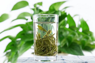 重阳节开展活动简报(庆祝重阳节简报)