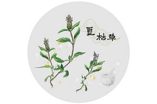 班主任入学教育总结(随班就读班主任学期总结)
