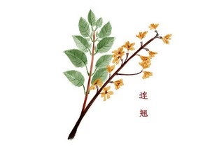 幼儿园中班活动说课稿《漂亮的蔬菜彩虹》_幼儿园中班说课彩虹色的花