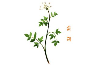 小学体育课教学计划_小学体育课教学计划表